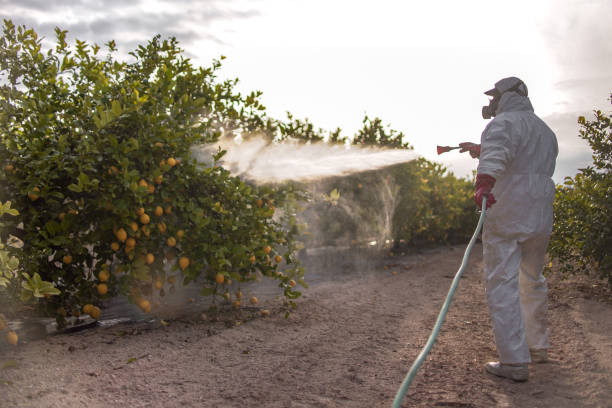 Best Pest Control Near Me  in North Fond Du Lac, WI