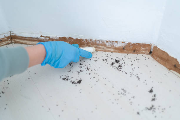 Best Commercial Pest Control Services  in North Fond Du Lac, WI