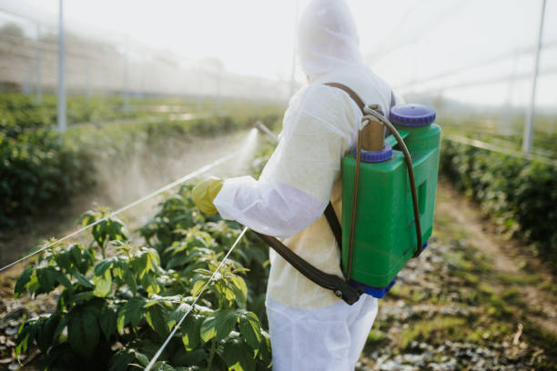 Best Flea Control Services  in North Fond Du Lac, WI